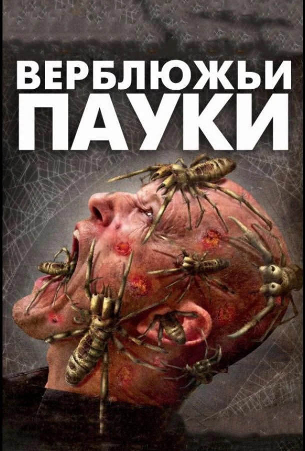 Смотреть Фильм Верблюжьи пауки(2011) бесплатно
