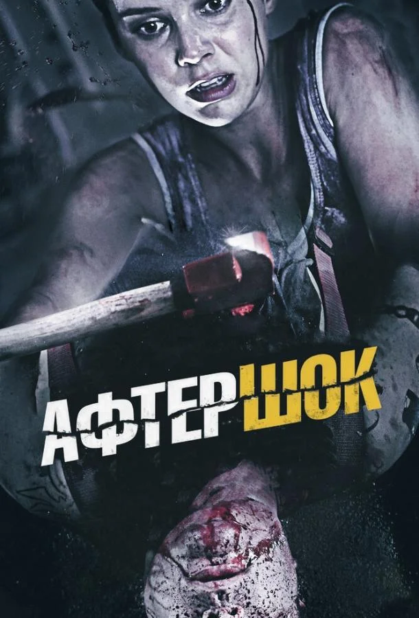 Смотреть Фильм Афтершок(2012) бесплатно